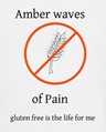 Amber Waves of Pain team badge